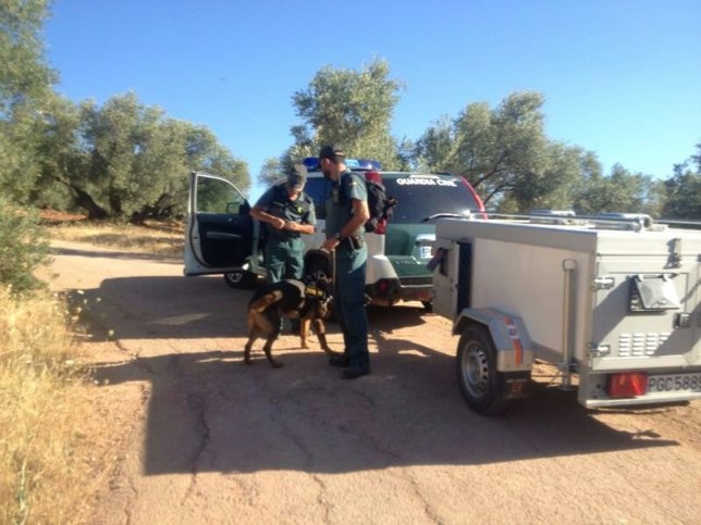 Búsqueda de joven desaparecida en Arquillos (Jaén)
