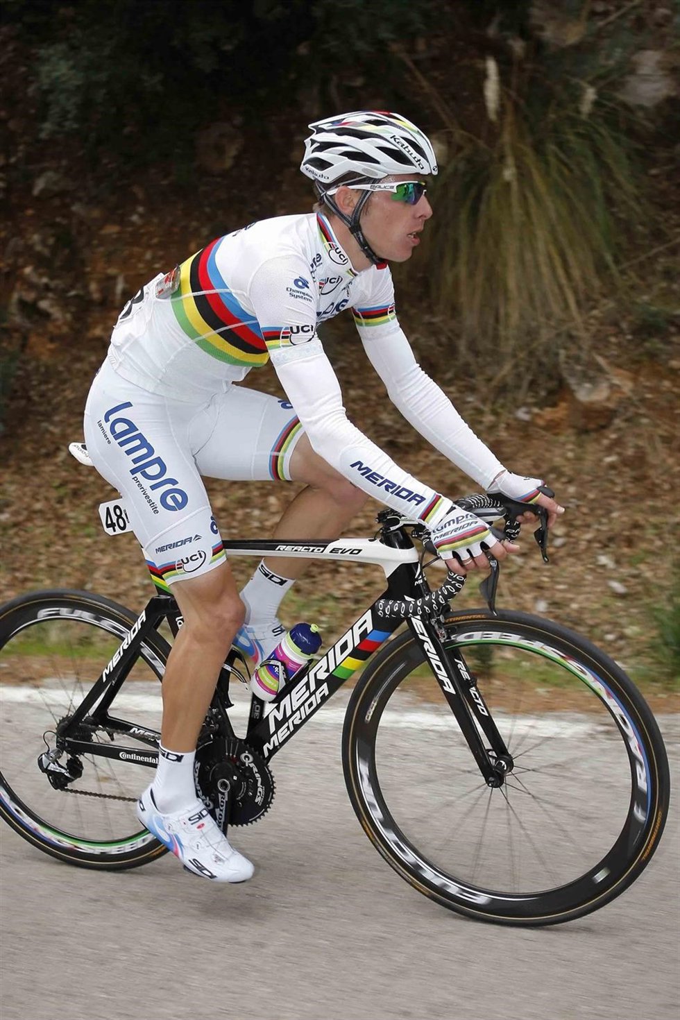 Rui Costa