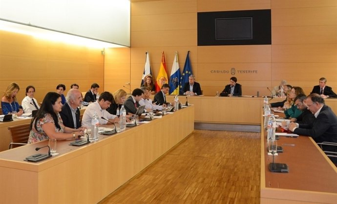 Carlos Alonso preside el Consejo de Gobierno