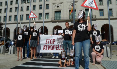 Cooperación y Desarrollo