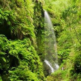 Paisaje de la naturaleza en Canarias