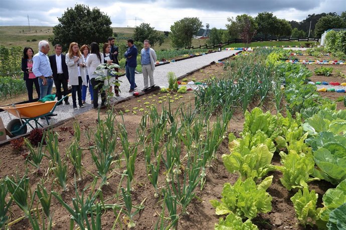 Huertos sostenibles en Reocín 