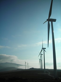 Parque eólico La Cotera