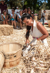 Festival del ajo