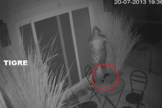 Robo casa Sergio Massa