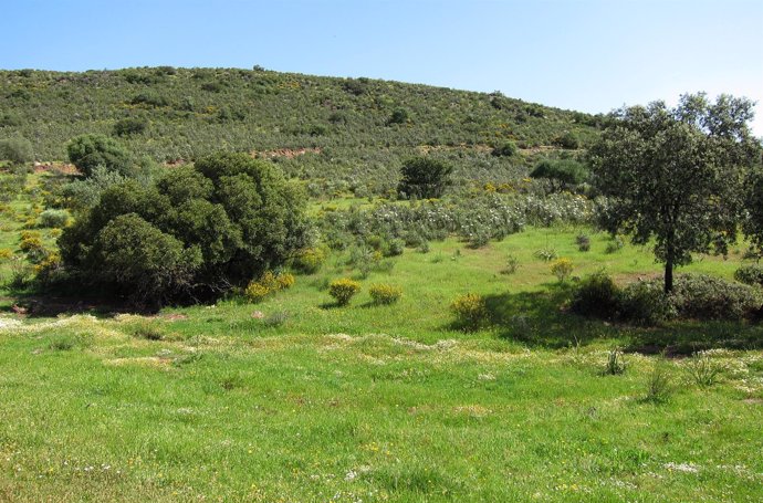 Paisaje Del Parque Natural Sierra Norte