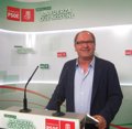 PSOE-A pide dar prioridad a las municipales y deja la fecha de las primarias en manos del Comité Federal