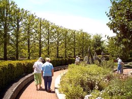 Pasear, mayores, jardín, parque