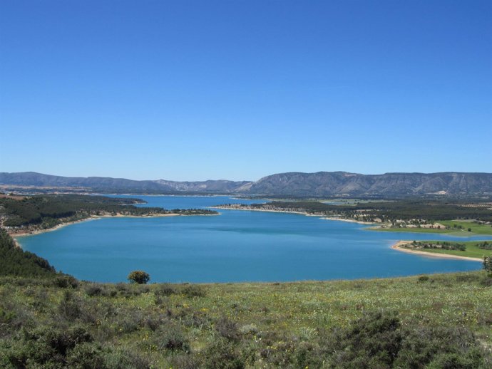 Agua, embalse, pantano, naturaleza, árboles