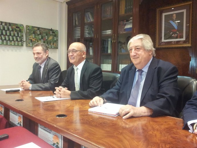 Actual equipo de la Junta Directiva en funciones de la RFEC