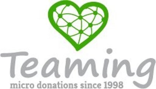 Teaming logo