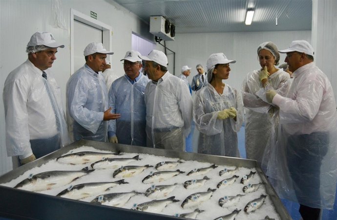 Instalaciones Grupo Culmárex