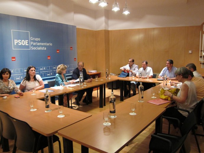 Reunión de diputadas socialistas con sindicatos sobre la central de Elcogas