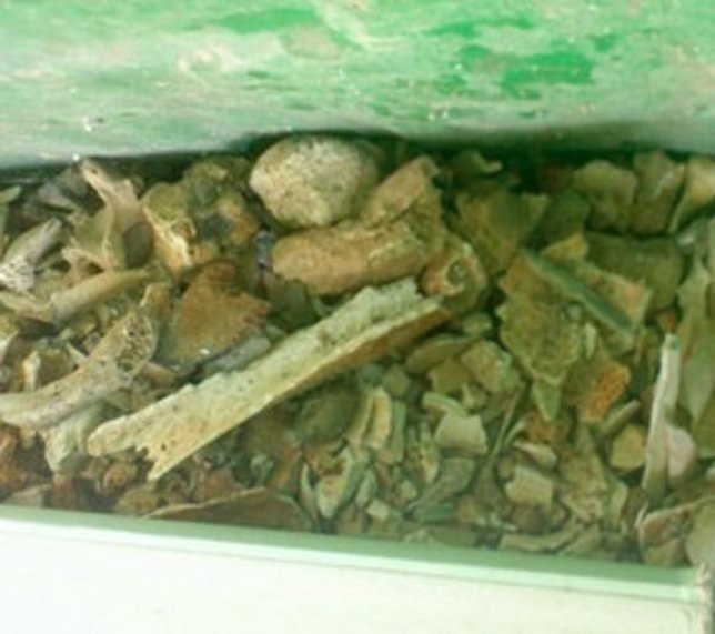 Restos óseos en la basura de Torrejón de Ardoz