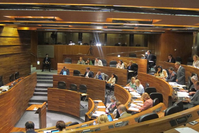 Pleno Junta General septiembre 2013