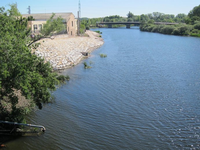 Zona del Tormes en la que se ha intervenido