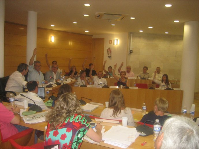 Pleno de presupuestos Coslada