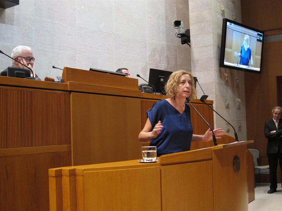 La portavoz del grupo parlamentario de IU de las Cortes, Patricia Luquin.