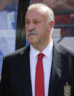 Vicente del Bosque en el Mundial de Brasil