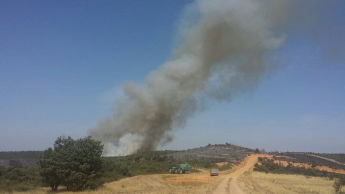 Incendio de Cogolludo