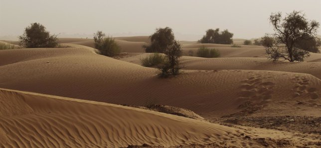 Dunas en el desierto del Sahara