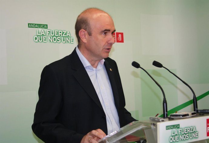 El parlamentario andaluz del PSOE Manuel Carmona