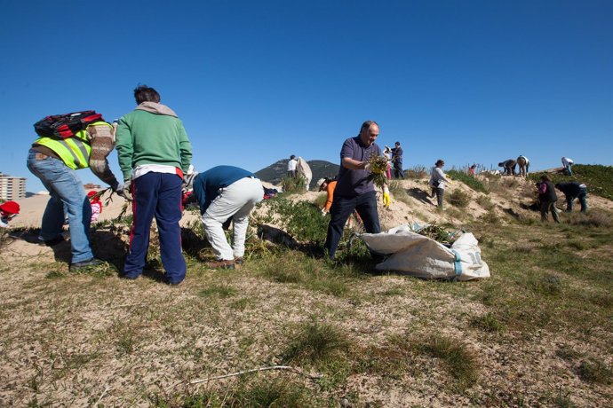 Voluntarios ambientales del programa PRVOCOA