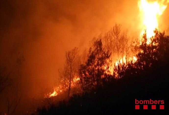 Incendio causado por un rayo en Flix (Tarragona)