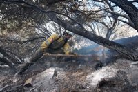 El 28% de la superficie afectada por el incendio de Ujué es terreno arbolado