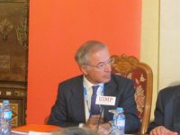 Antoñanzas critica que el Gobierno trate de proteger el mercado tutelado