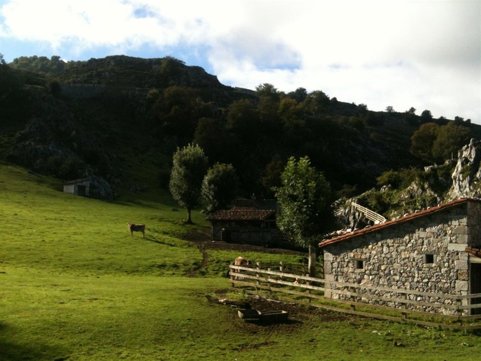 Picos de Europa