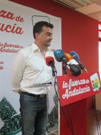 Maíllo (IULV-CA) anima al PP-A a que acepte su propuesta en materia fiscal de "gravar más a los más ricos"