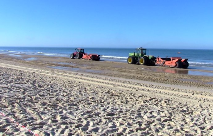 Trabajos de reperfilados en la playa de Matalascañas (Huelva).