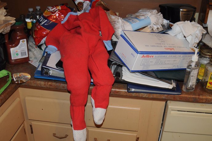 En un operativo en EEUU se encontró una pijama en casa de un pedófilo