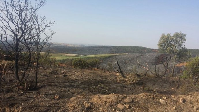 Incendio Cogolludo 2014