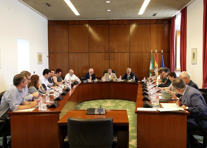 Reunión de la Diputación Permanente