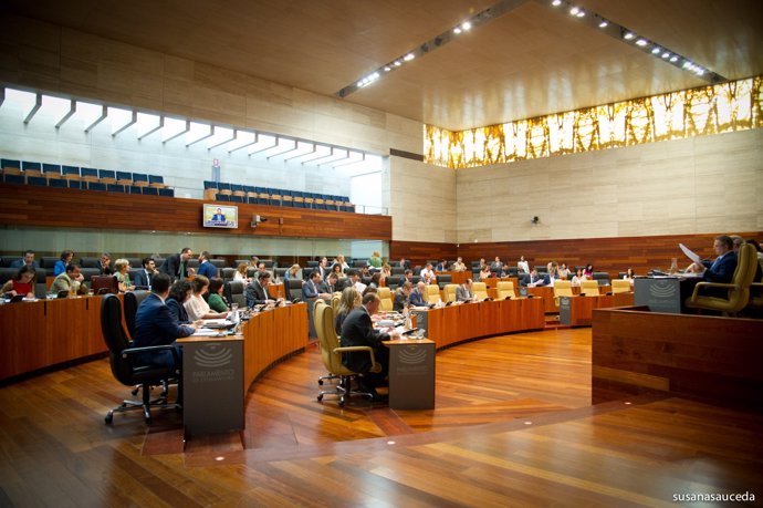 Pleno asamblea