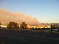 El fuego en Algeciras arrasa 140 hectáreas, según la primera medición