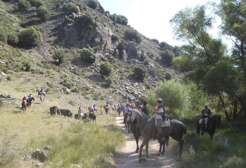 Exhibición de Trashumancia Aranda de Moncayo.