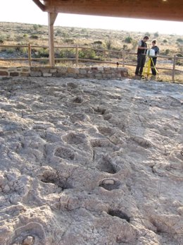 Excavaciones Paleontológicas en la Sierra de la Demanda (Burgos)
