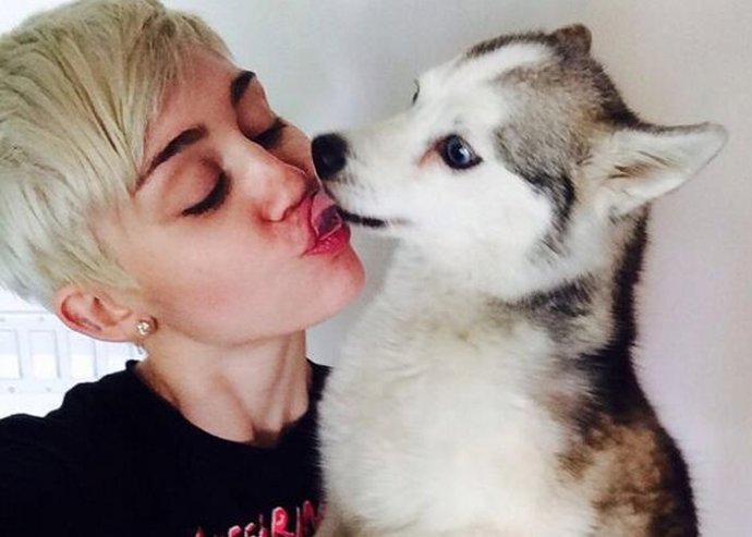 Miley Cyrus pide ayuda a medium 