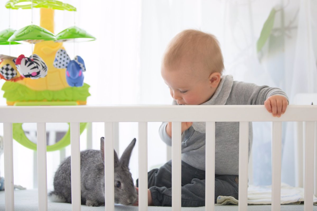 Cómo elegir los mejores juguetes para bebés de 6 a 12 meses - Eres Mamá