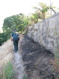 Detenido 'in fraganti' cuando pretendía provocar un incendio forestal
