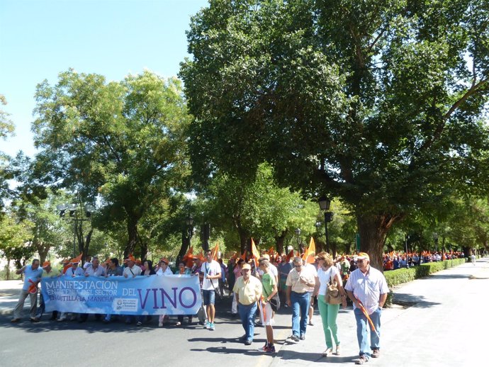 Manifestación UPA Toledo