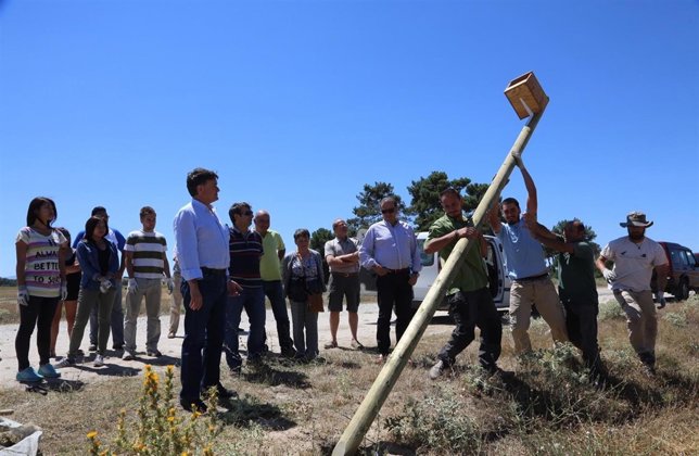 Colocación de un poste con caja para el control de topillos