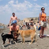 España es el país europeo con menos playas abiertas al baño de perros con solo 40 espacios, según Playea