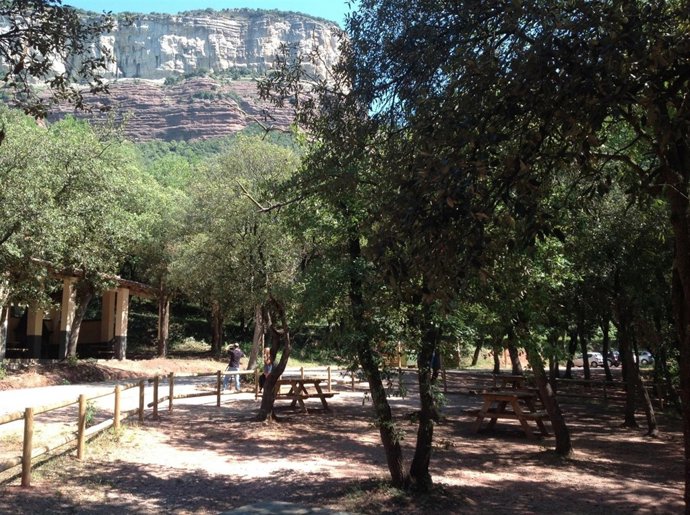 Zona pícnic en el pantano de Sau