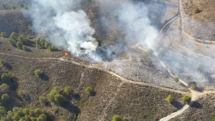 Incendio en la Sierra de La Almenara de Lorca