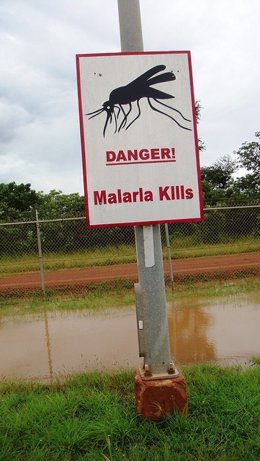 Malaria