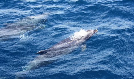 Cooperación y Desarrollo